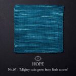 Simy's Hope DK Mighty oaks grow from little