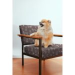 Katoen canvas honden groen